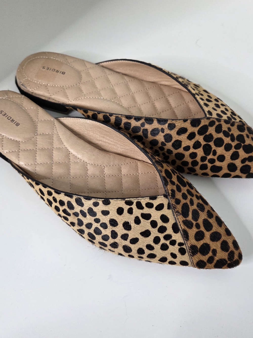 Birdies Leopard Print Pointed Toe Mule - Tan/Black, Womens Size 8.5